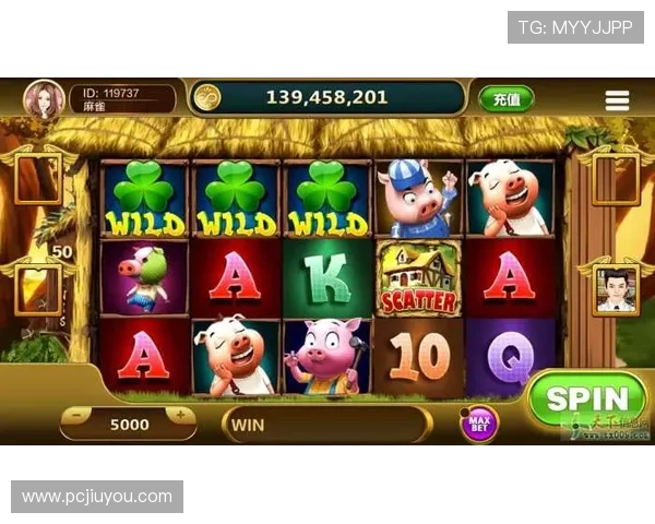 九游FC老虎机多样化游戏类型满足不同玩家的需求